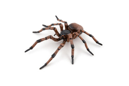 Papo - Hand painted - Animal Figures - Common spider - 50292 - Wildlife - Collectible - For Children - Suitable for Boys and Girls - From 3 years old