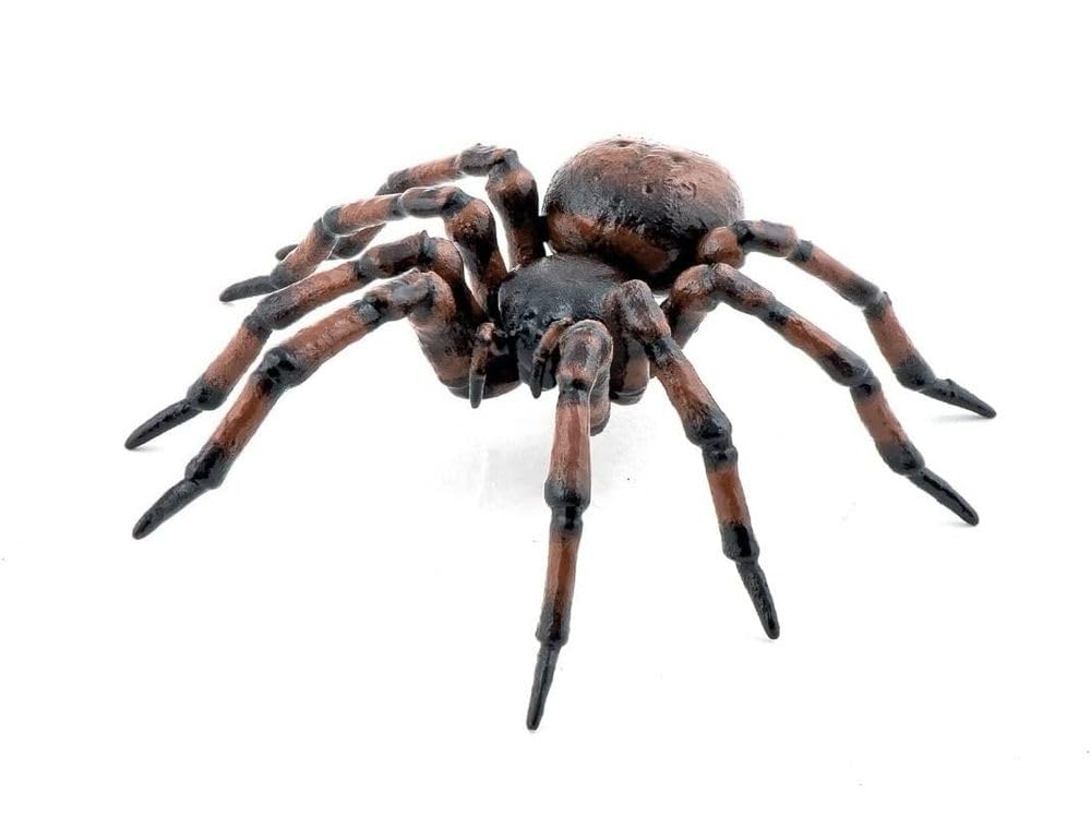 Papo - Hand painted - Animal Figures - Common spider - 50292 - Wildlife - Collectible - For Children - Suitable for Boys and Girls - From 3 years old