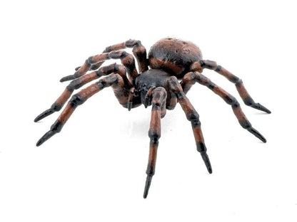 Papo - Hand painted - Animal Figures - Common spider - 50292 - Wildlife - Collectible - For Children - Suitable for Boys and Girls - From 3 years old