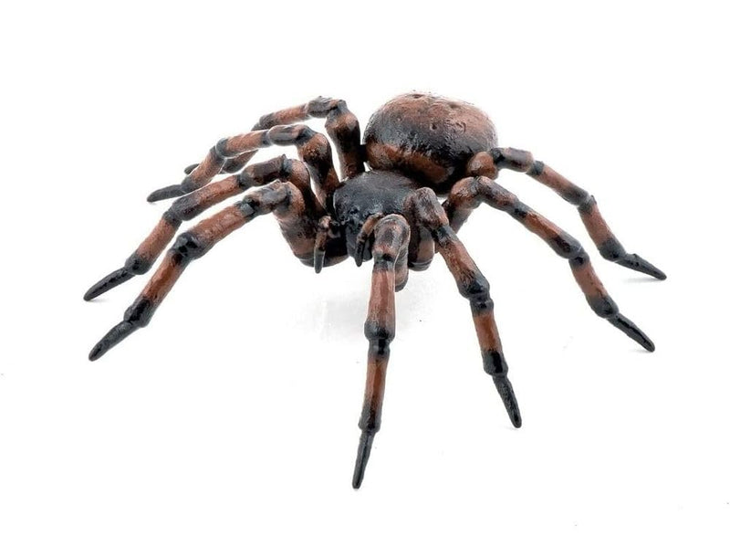 Papo - Hand painted - Animal Figures - Common spider - 50292 - Wildlife - Collectible - For Children - Suitable for Boys and Girls - From 3 years old