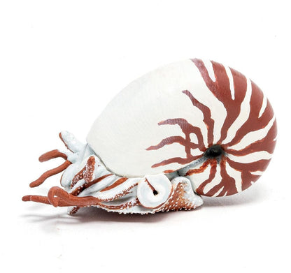 Papo Wild Life Oceaan Nautilus 56061