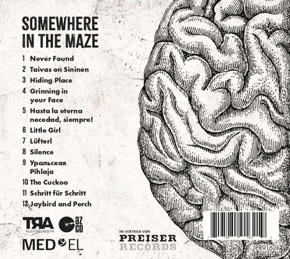 Somewhere in the maze