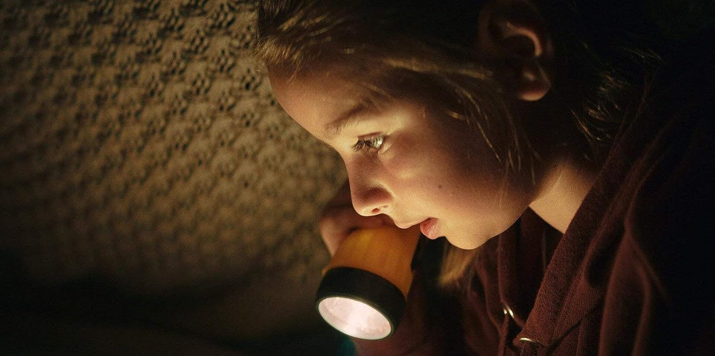 Emily und der vergessene Zauber