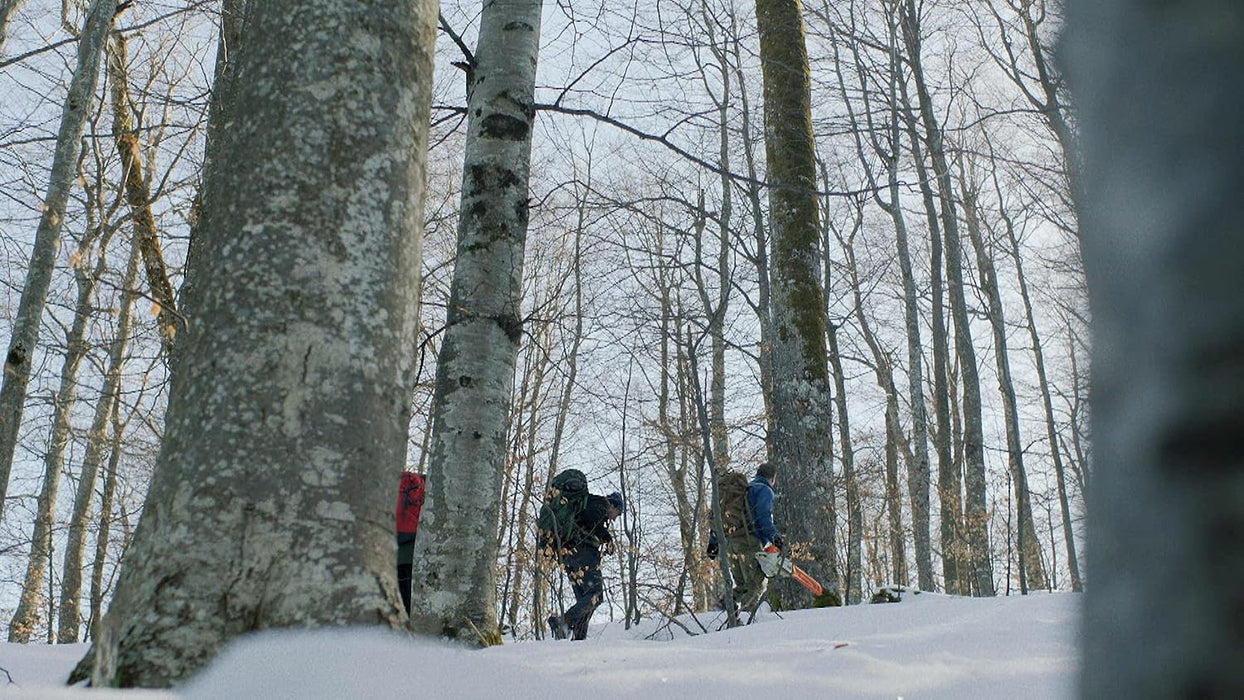 The Quest for Tonewood