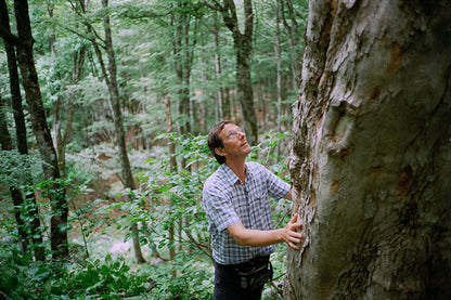 THE QUEST FOR TONEWOOD - THE QUEST FOR TONEWOOD / DVD