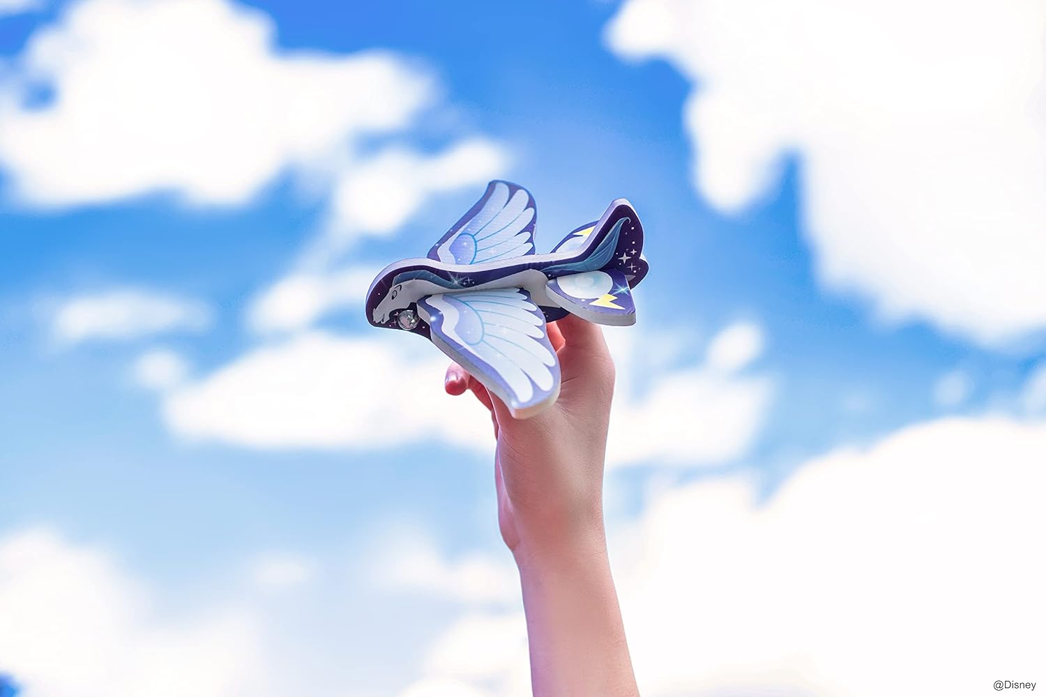 Disney You Can Fly!