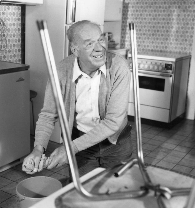 Die unsterblichen Methoden des Franz Josef Wanninger Box 4 - Folgen 01-12