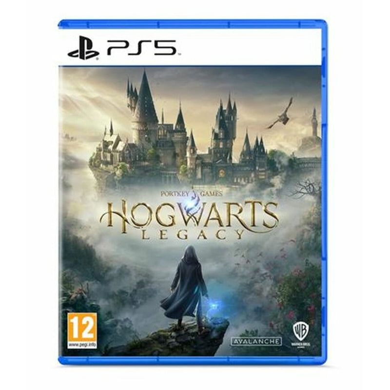 Playstation 5 Warner Games Video Game