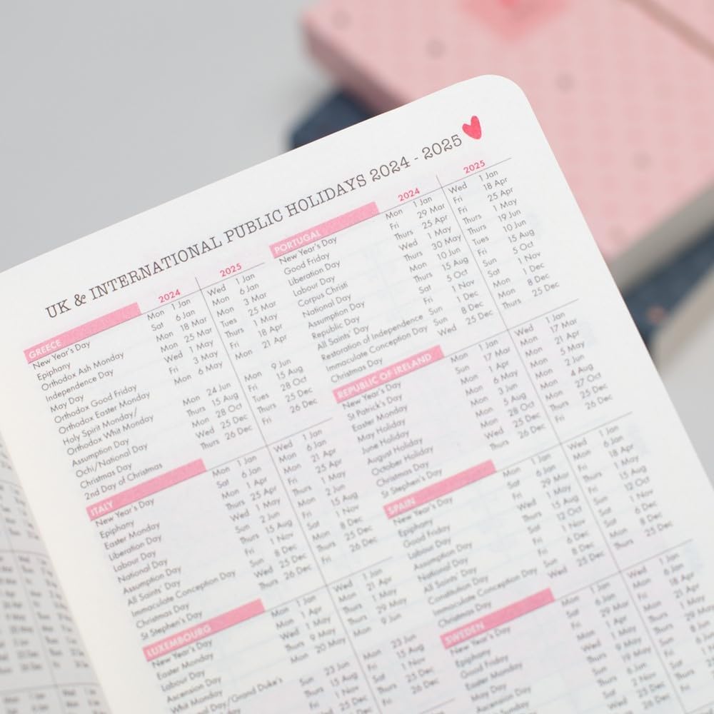 Matilda Moo 2024 Diary - A6 - Day a Page Layout - Elastic Closure - 80gsm Paper - Rose Gold Detail - Pink Pink 2024