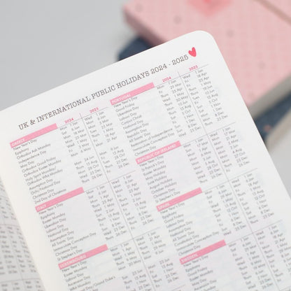 Matilda Moo 2024 Diary - A6 - Day a Page Layout - Elastic Closure - 80gsm Paper - Rose Gold Detail - Pink Pink 2024