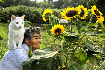 Miyoko Ihara - Misao the Big Mama and Fukumara the Cat