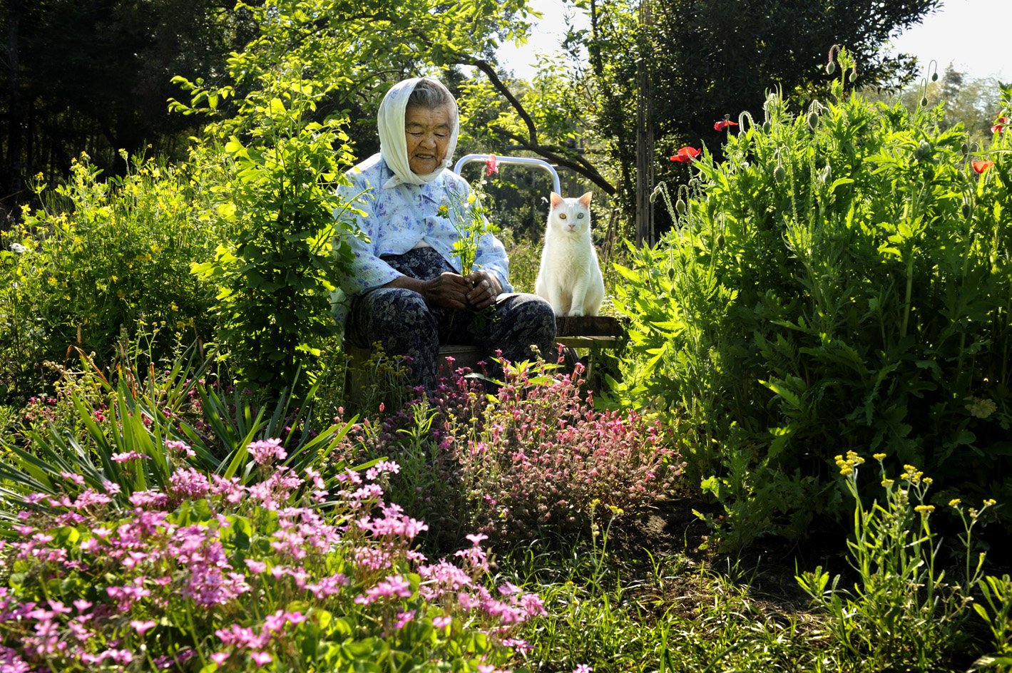 Miyoko Ihara - Misao the Big Mama and Fukumara the Cat