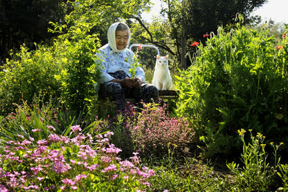 Miyoko Ihara - Misao the Big Mama and Fukumara the Cat