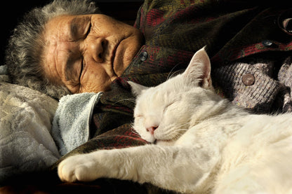 Miyoko Ihara - Misao the Big Mama and Fukumara the Cat