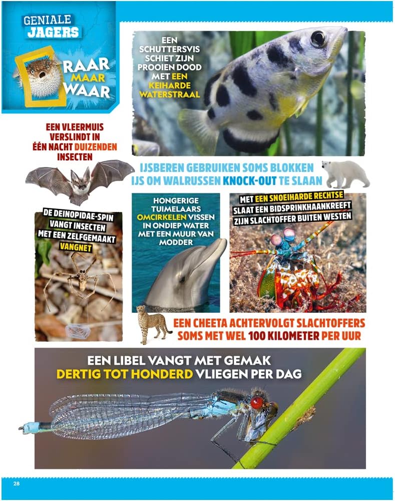divers - National Geographic Junior Super Slimmeriken