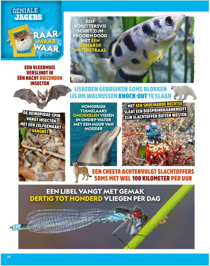 divers - National Geographic Junior Super Slimmeriken