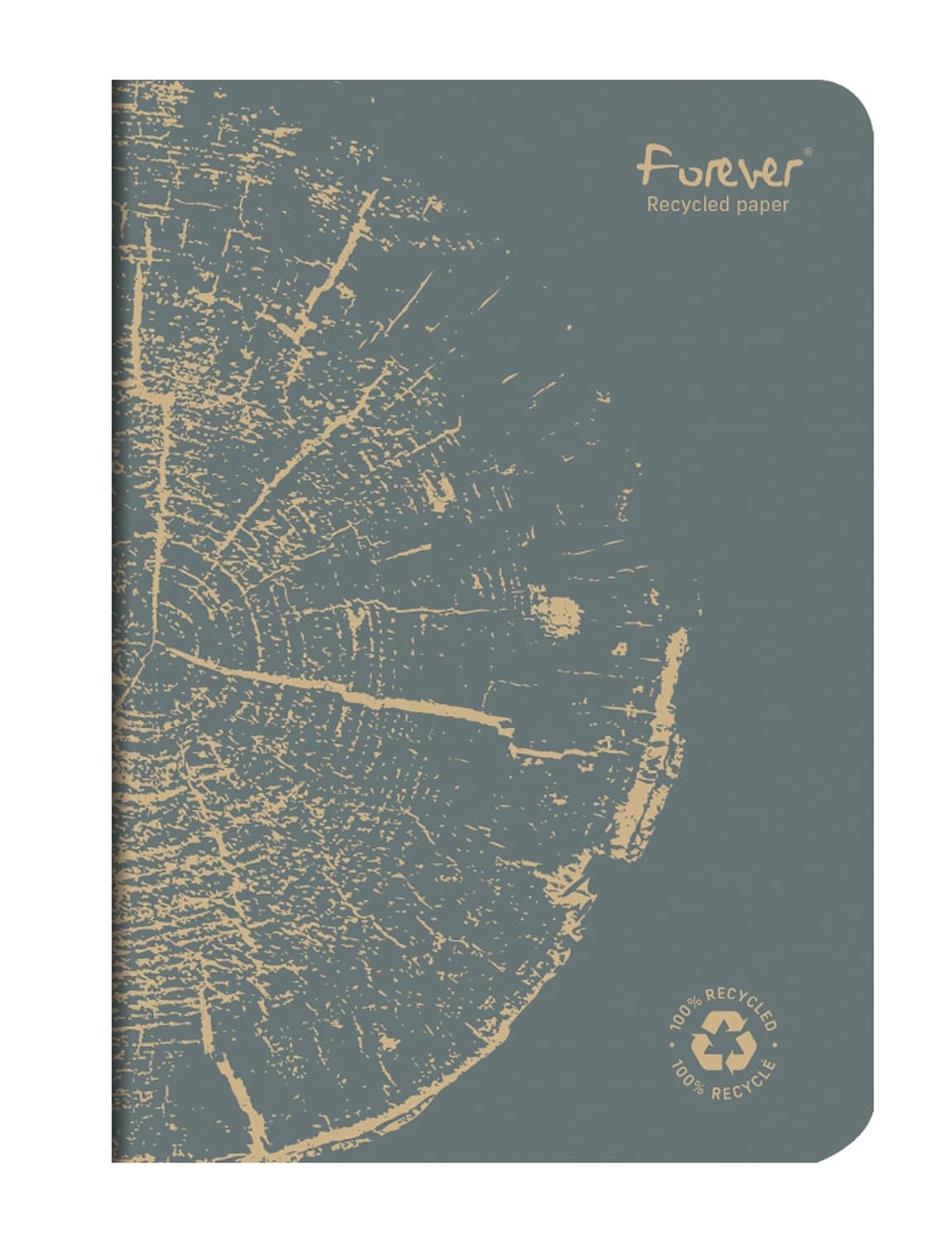 Clairefontaine 68486C - FOREVER premium carnet piqué 14,8x21cm 90g recyclé 96p ligné coloris assortis - PAQ de 5