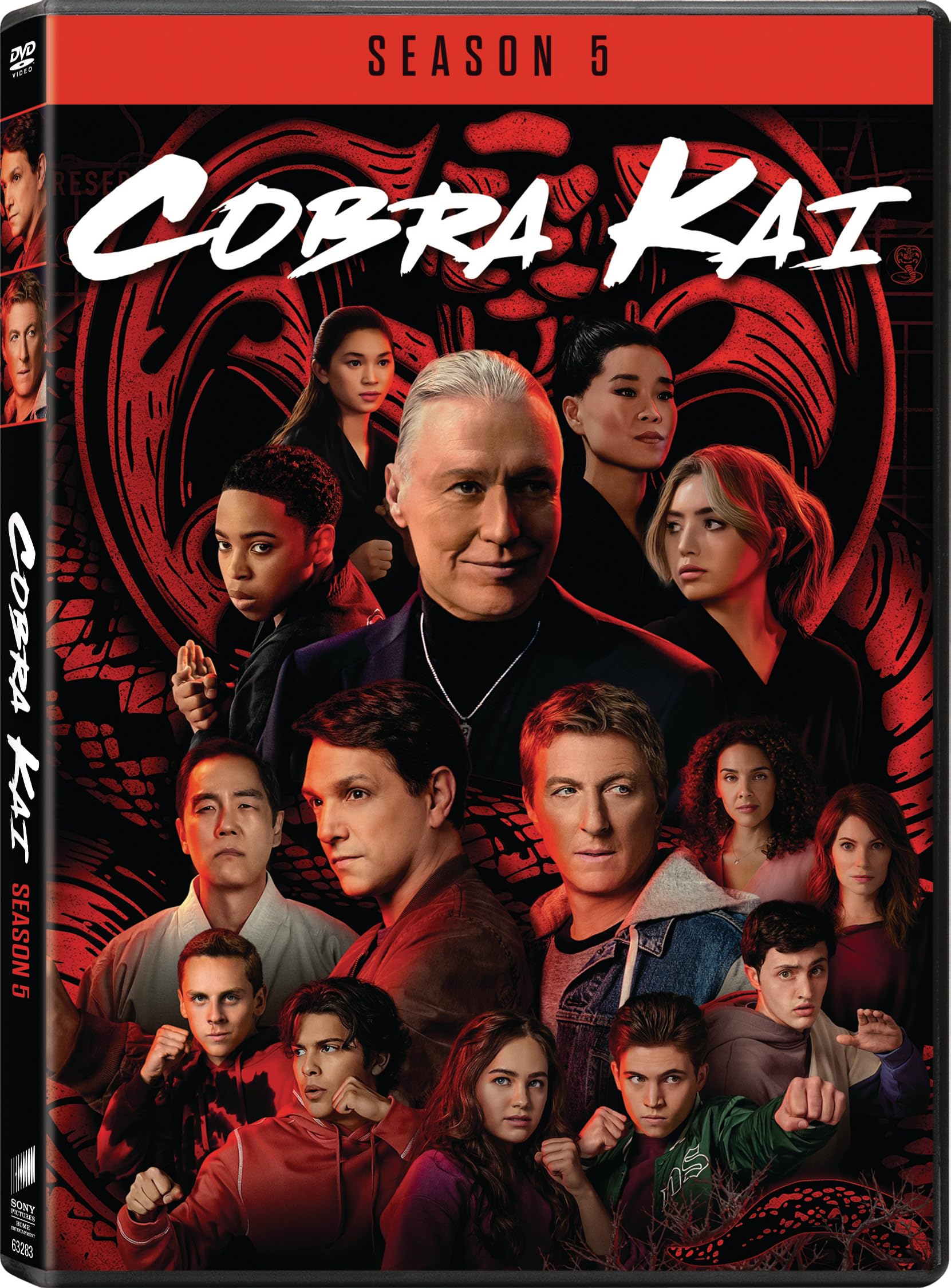 Cobra Kai - Season 05 (2 Disc) - DVD
