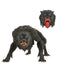 An American Werewolf In London - 17.8 cm Scale Action Figure - Ultimate Kessler Werewolf