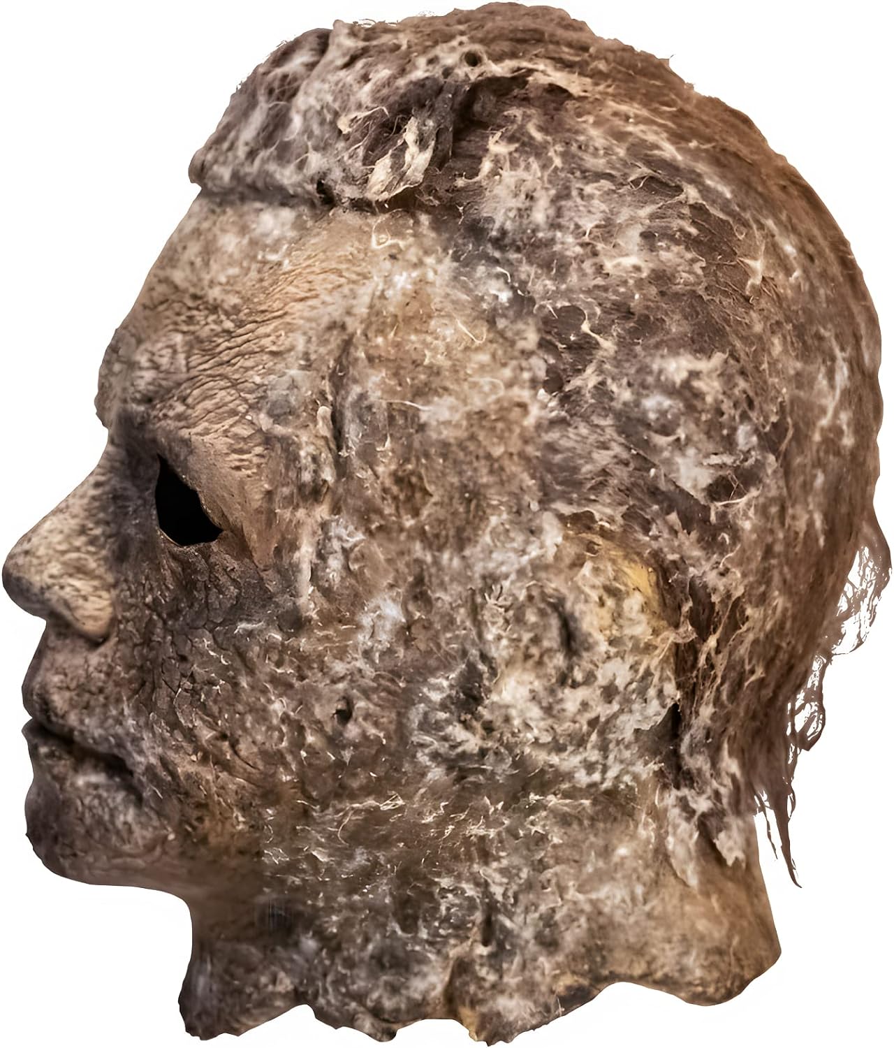 Trick Or Treat Studios Halloween Ends Michael Myers Mask Multicolor, Multicolor, One size
