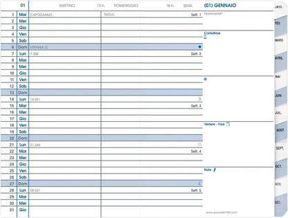 Quo Vadis 195036Q Agenda PLAIN Lingua italiana Anno 2025 Colore Nero Formato 10x15 cm Mensile 12 Mesi Gennaio-Dicembre Carta Bianca Copertina Amovibile in Plastica Impala
