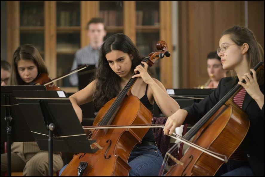 Divertimento - Ein Orchester für alle