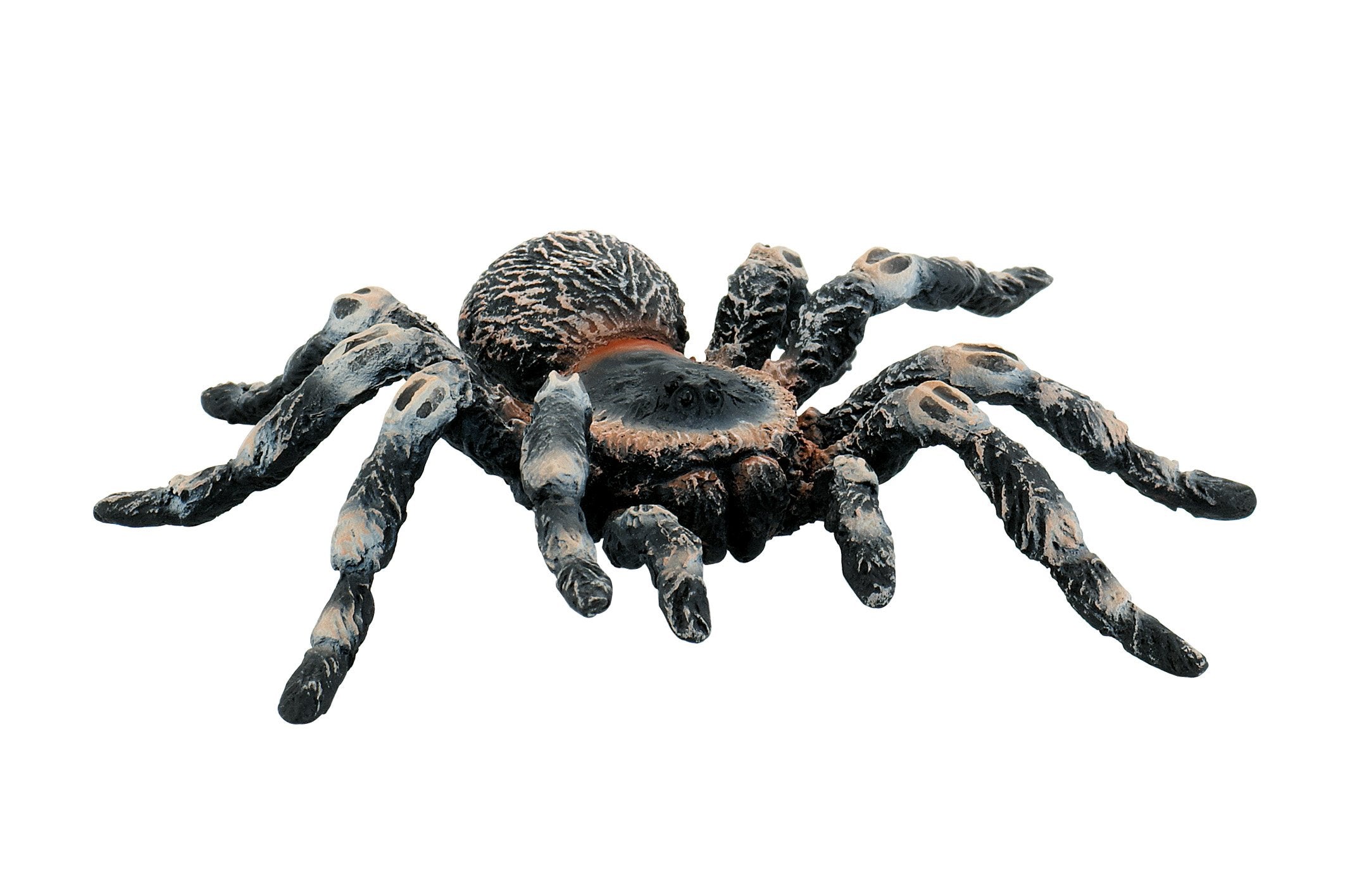 Bullyland 68457 Tierfigur Figure Animal World-White Kneed Spider, Multicoloured