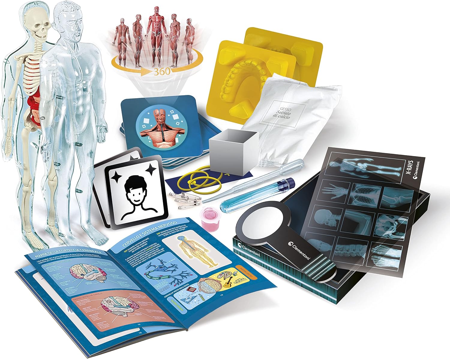 Clementoni Lab Super-Lab Anatomy, Science Experiments, Science Game Ages 8 - Made in Italy, Multi-Colour, 19299