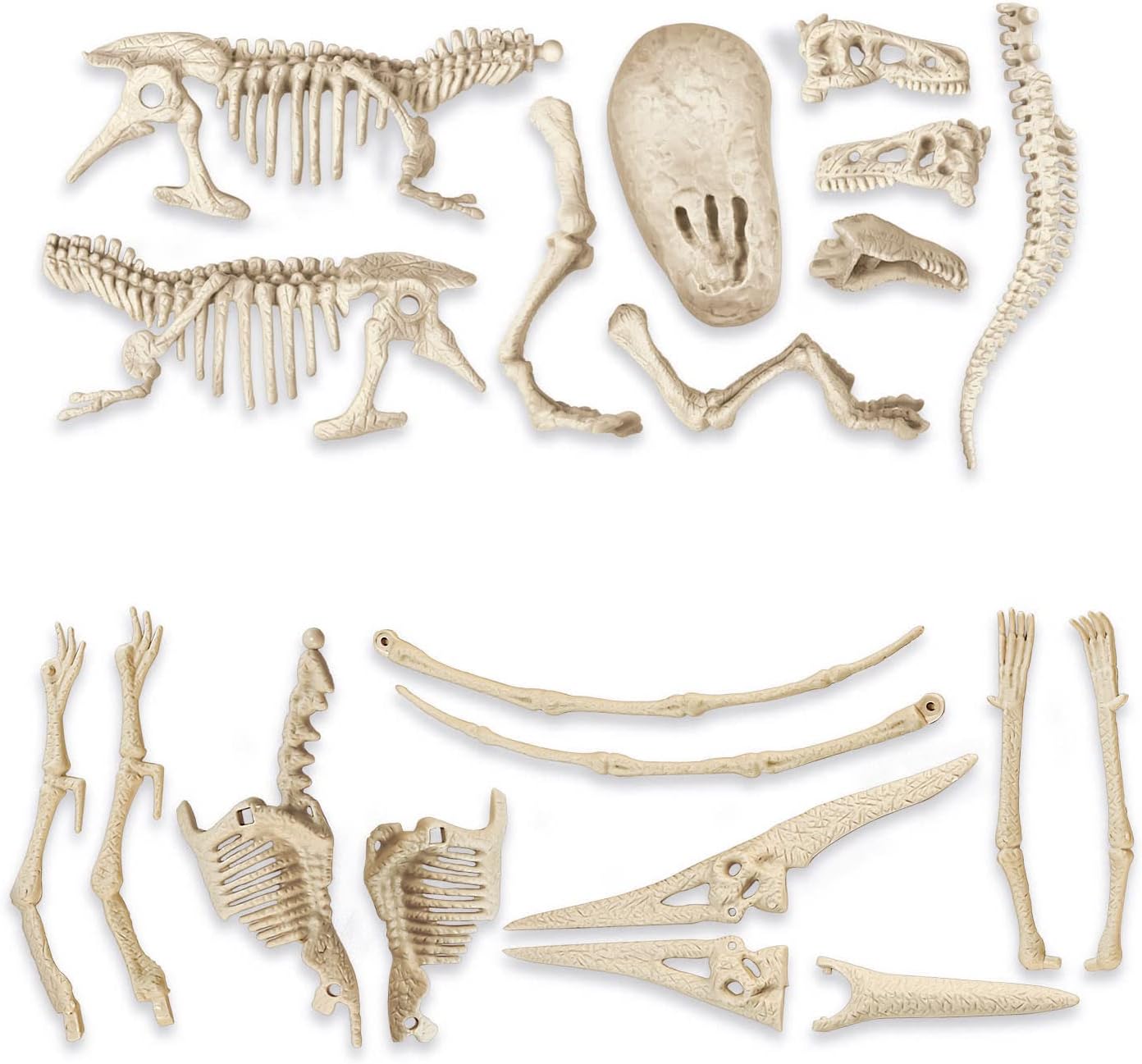 Clementoni Jurassic World 3 Dominion-T-Rex and Pteranodonte-Dinosaurs, Fossil Kit for Digging and Assembly, Scientific Game 7 Years (Italian Version) -Made in Italy, Multicoloured, 19306