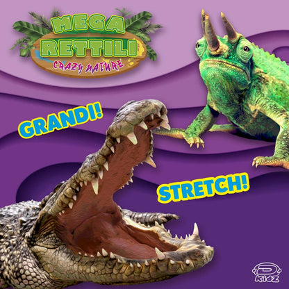 D-KIDZ DIM02236P Crazy Nature Mega Reptile, Assortment, Multi-Coloured