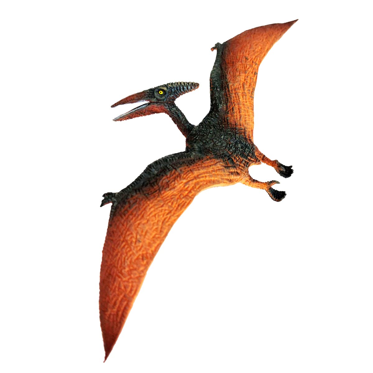 D-KIDZ Dinosaur Park, Pterosaur, Multicoloured, DIP76647