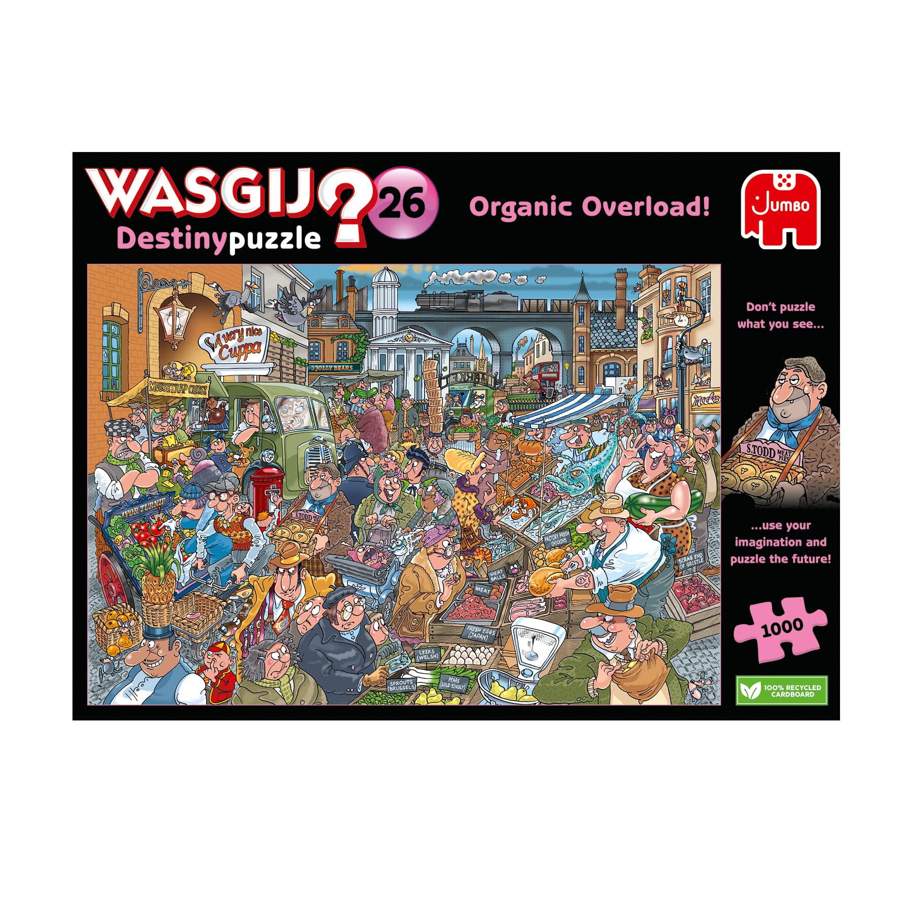 Jumbo Spiele GmbH JUM00022 Wasgij Destiny 26 Jigsaw Puzzle (1000-Piece