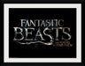 Fantastic Beasts: Logo (Stampa In Cornice 30X40 Cm)