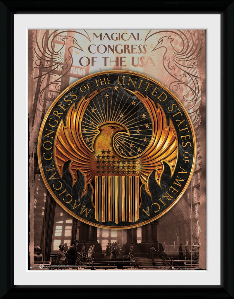 Fantastic Beasts: Magical Congress (Stampa In Cornice 30X40 Cm)