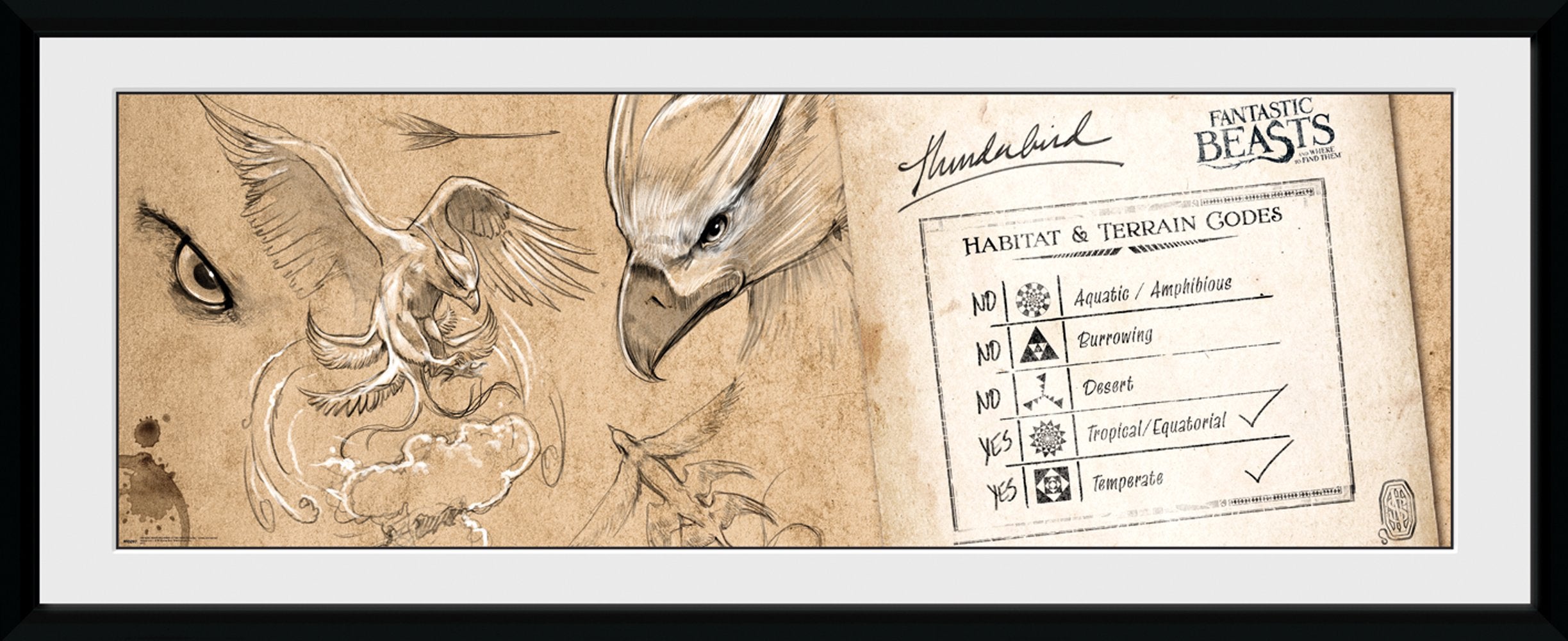 GB eye Fantastic Beasts Thunderbird Framed Print, Wood, Multi-Colour, 79 x 44 x 3 cm