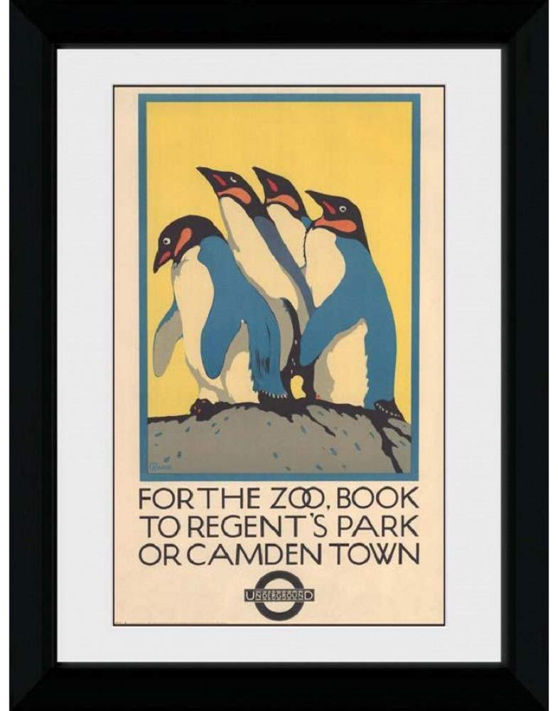 GB eye Transport For London Zoo 50 x 70cm Framed Collector Print