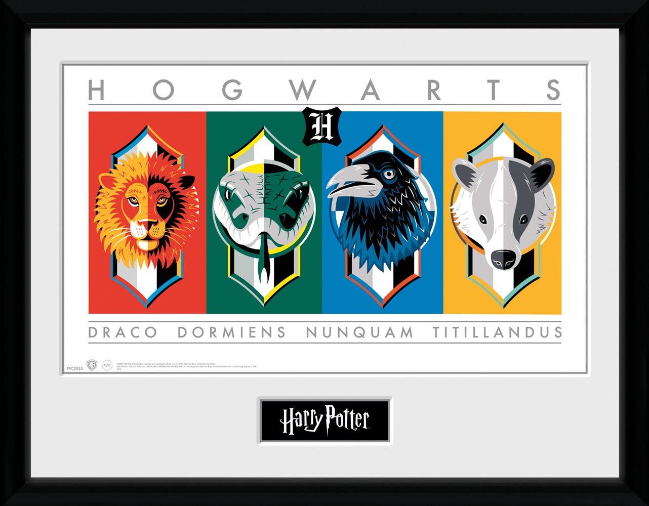 GB eye Harry Potter Sigils 30 x 40cm Framed Collector Print