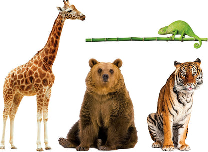 Animali da Record Appendibile