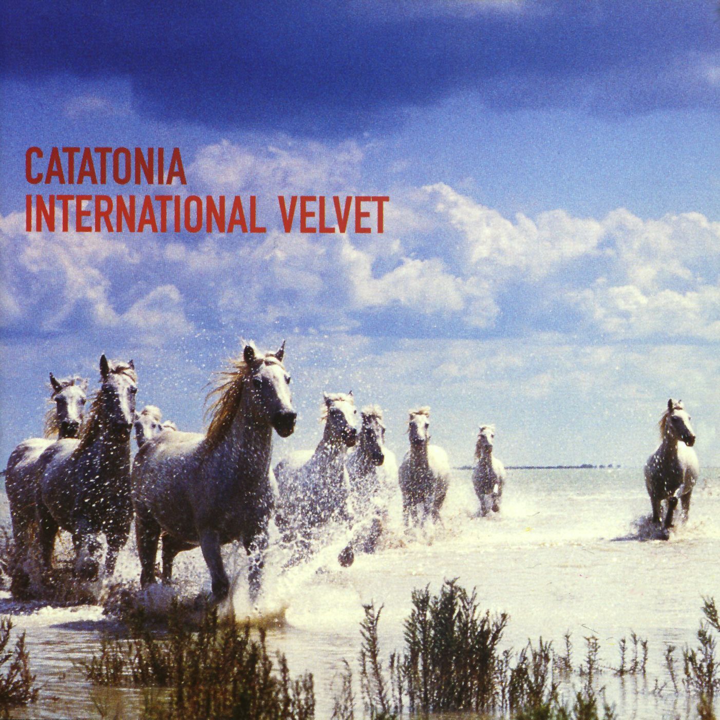 International Velvet (NAD 2023)