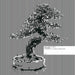 Denshi Ongaku No Bigaku: The Aesthetics of Japanese Electronic Music - Volume 2