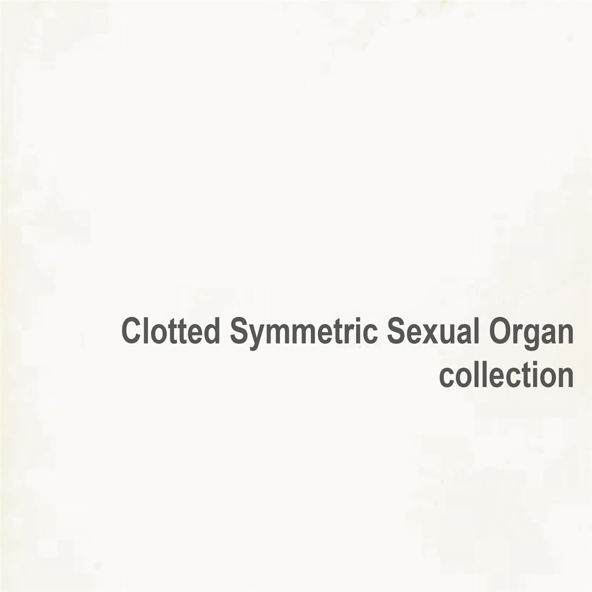 Collection