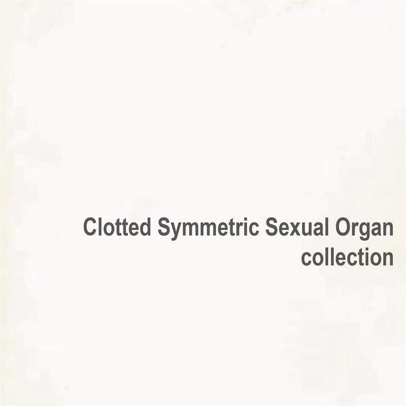 Collection