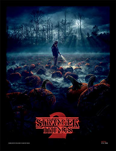 Stranger Things Erinnerungsstück, Mehrfarbig, 30 x 40cm 30 x 40cm Mehrfarbig