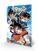 Pyramid International Dragon Ball Z Wooden Print (Strength and Heart of a Hero), 20cm x 29.5cm – Official Merchandise