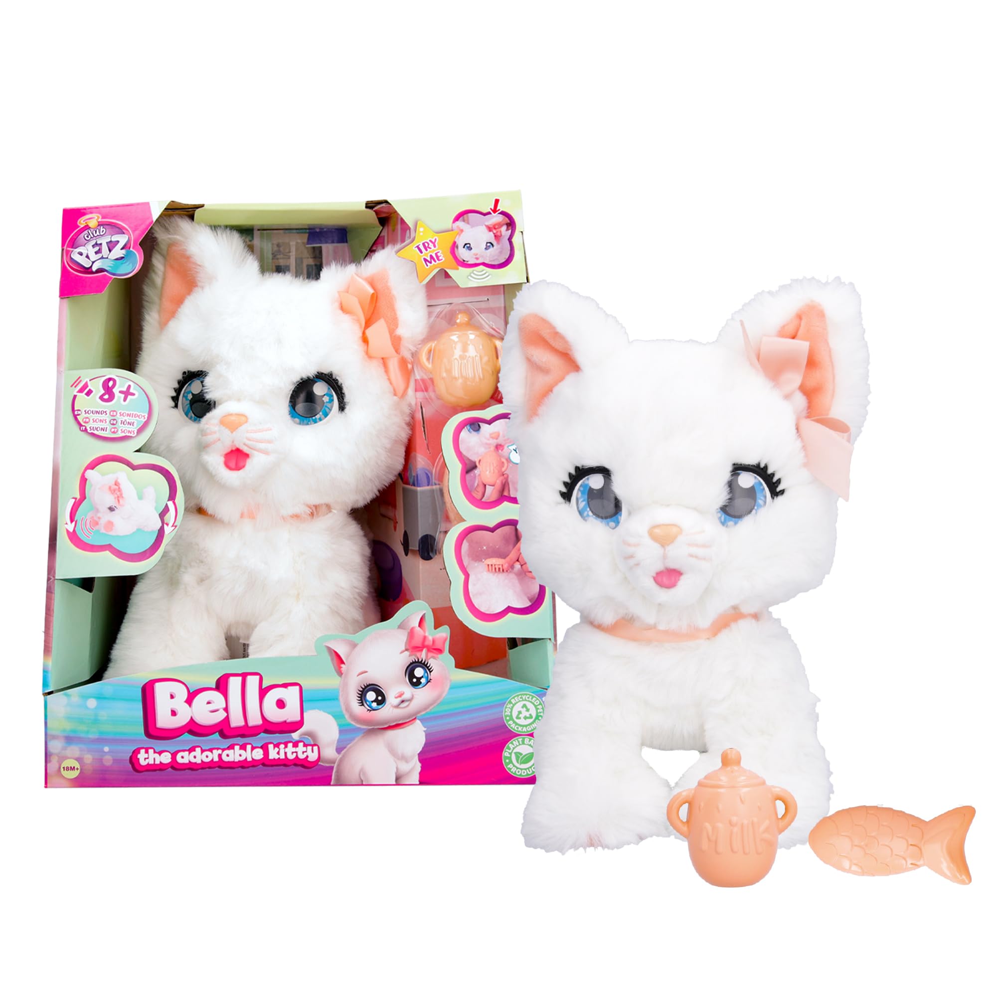 BELLA THE ADORABLE KITTY