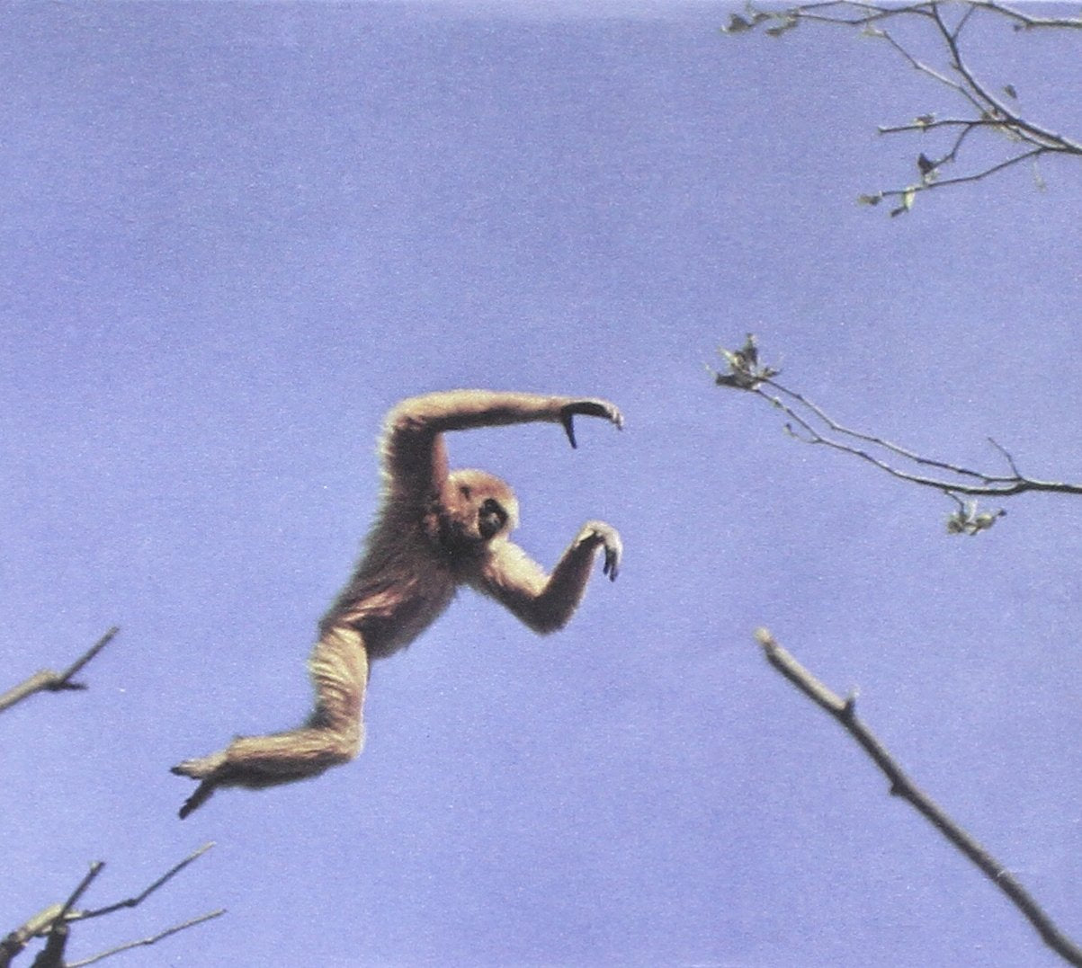 Star Club West - My Ill Women