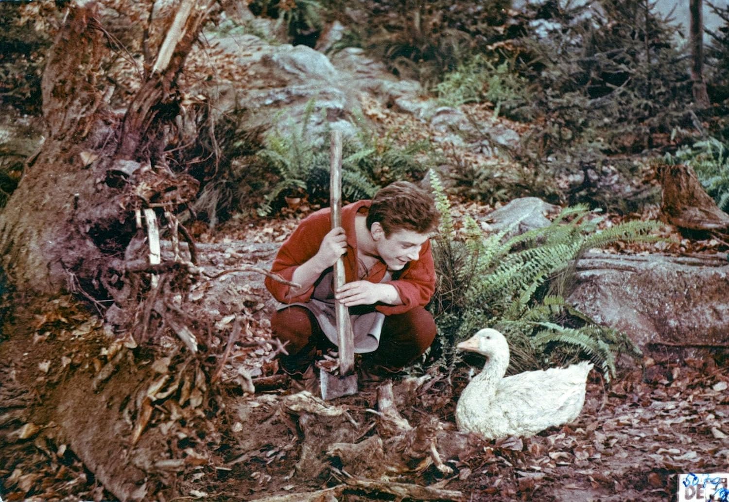 HARTMANN, SIEGFRIED - DIE GOLDENE GANS