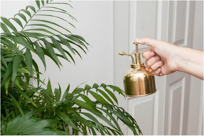 Plant Mister Brass (Cd508)