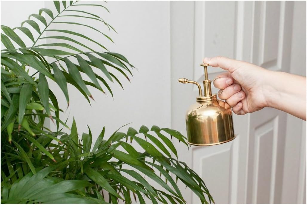 Plant Mister Brass (Cd508)