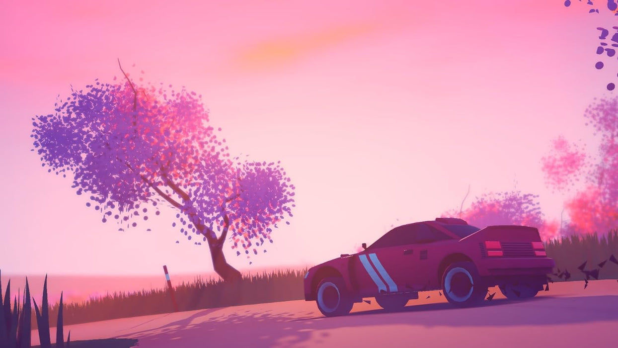 Art of Rally (Playstation 5) PS5